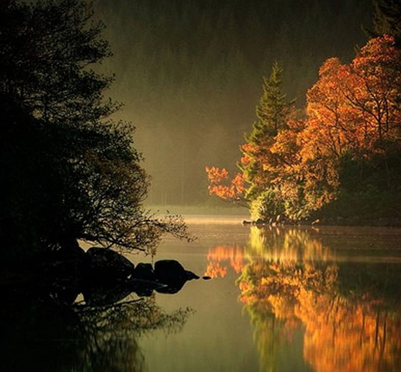 autumn reflection, effect, autumn, water, reflection, HD wallpaper