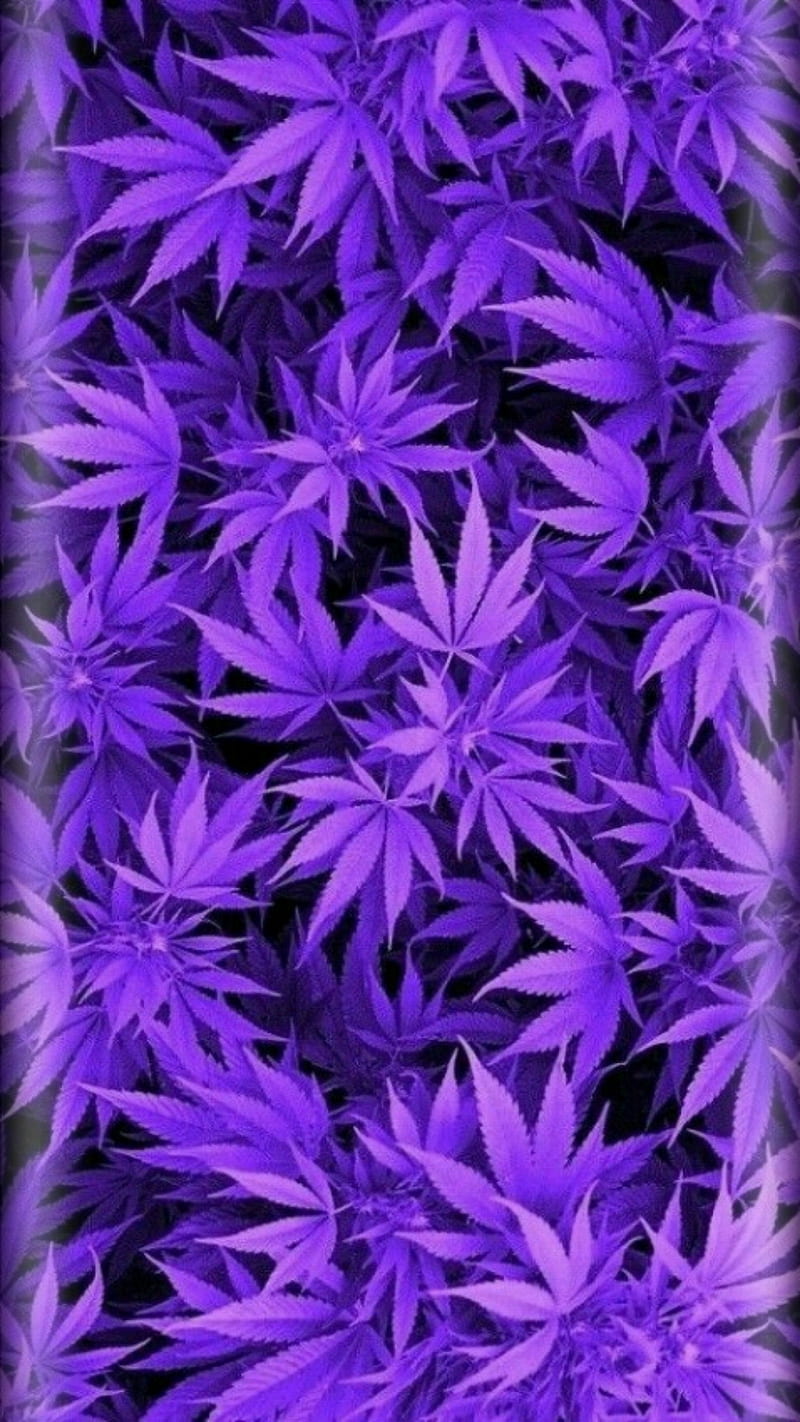 Purple Pot, 3d, acid, bonito, bright, colorful, dream, earth, edge, god heaven, nature, sky, space, stars, trip, HD phone wallpaper