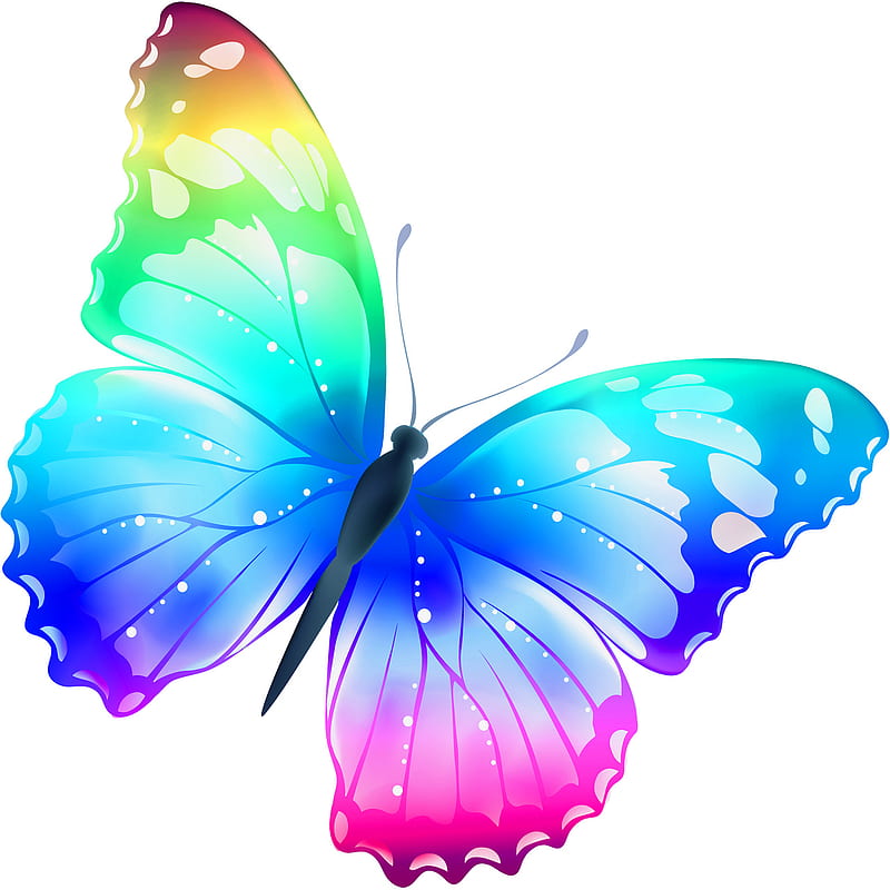 Rainbow Butterfly, butterflies, HD phone wallpaper