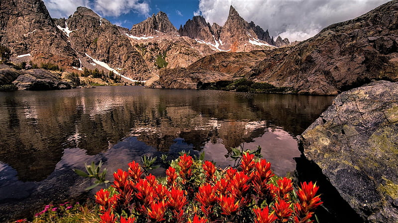 Sierra nevada, flowers, sky, mountains, lake, HD wallpaper | Peakpx