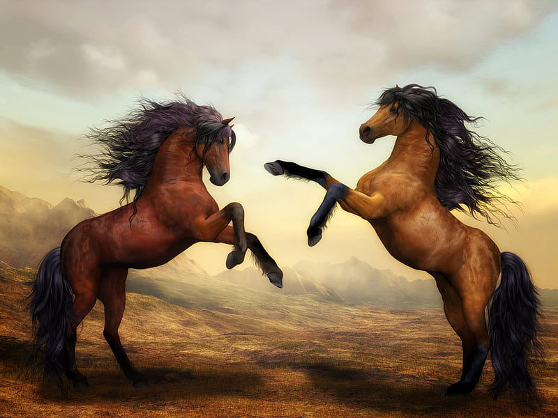 Arabian Horse Artistic , horse, artwork, digital-art, HD wallpaper