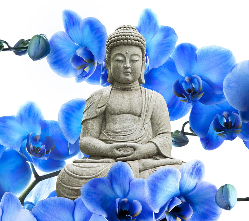 Orchid Buddha, bonito, flowers, HD wallpaper