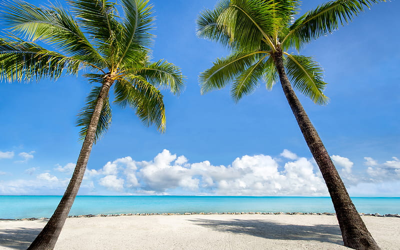 ocean, tropical island, palms, beach, sand, sea, waves, travel concepts, HD wallpaper