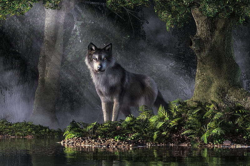 Spirit of the forest, deskridge, spirit, forest, fantasy, lup, wolf, animal, HD wallpaper