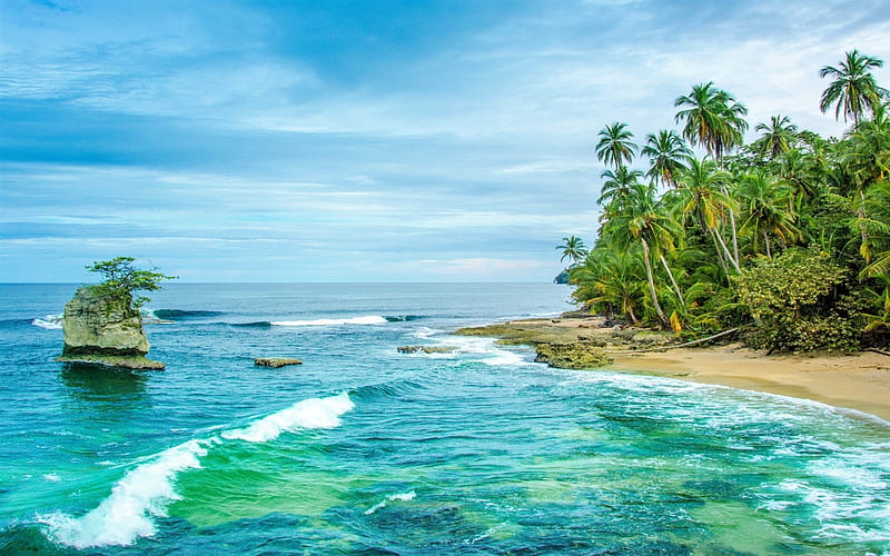 Costa Rican Beach Cove, Sand, Sea, Beaches, Ocean Waves, Palm Trees, Nature, HD wallpaper