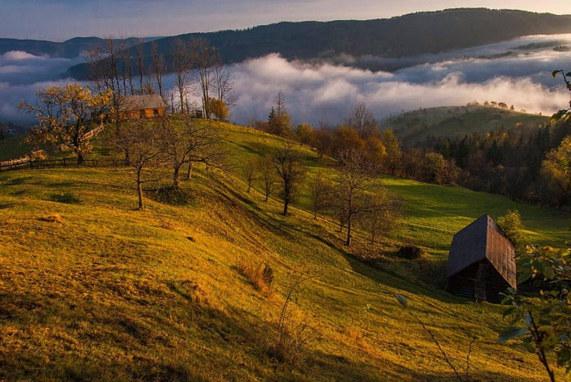 Осінній туман в Карпатах, Karpaty, autumn, graphy, mountains, nature, Ukraine, Karpatian, HD wallpaper