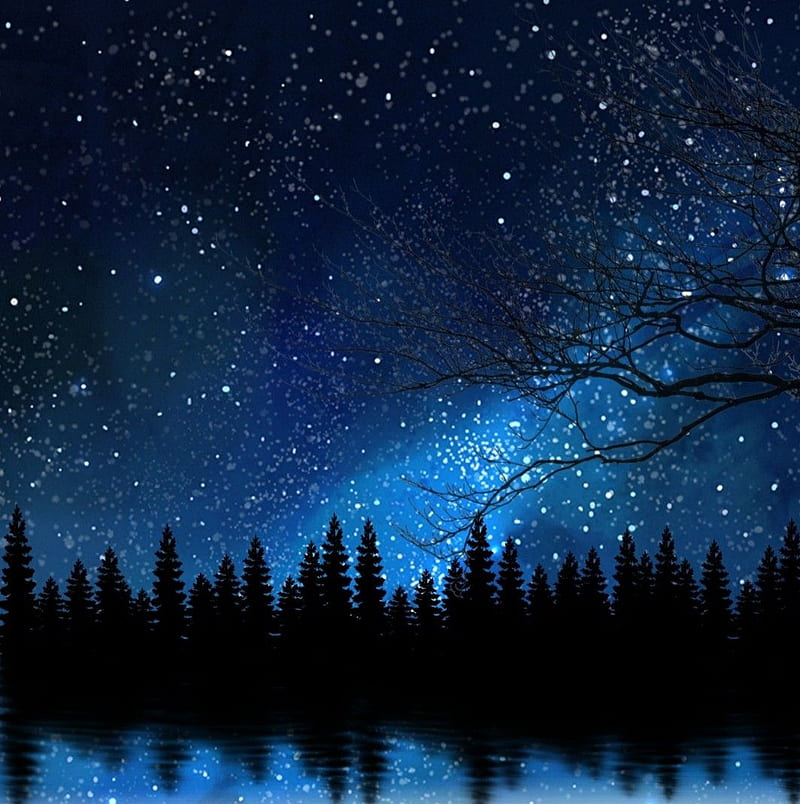 Beautiful forest night . Beautiful forest, Natural landmarks, Forest