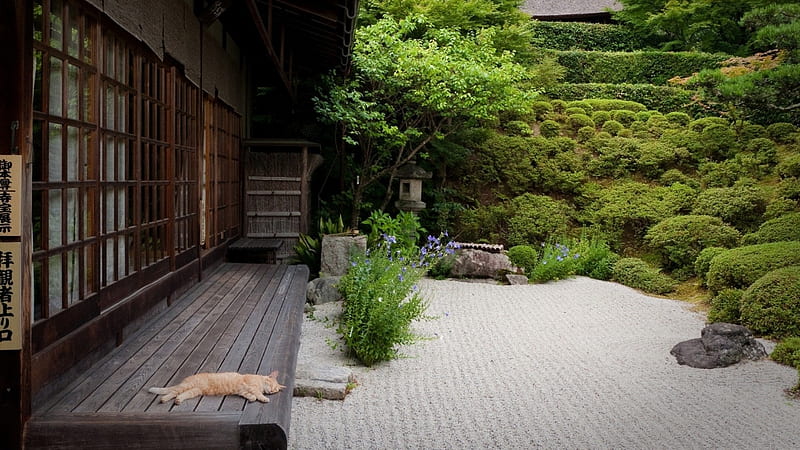 Japanese House, japan, house, japanese, zen, garden, cat, HD wallpaper