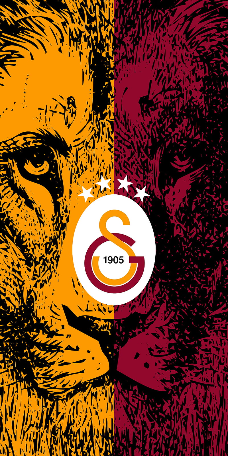 Galatasaray 5, champion, football, galatasaray, sampiyon, soccer, turk, turkish, HD phone wallpaper
