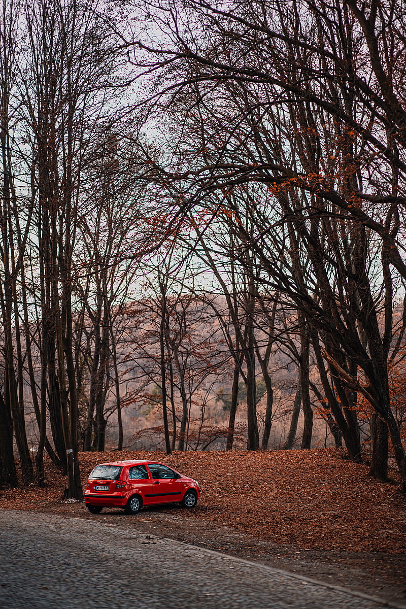 car, red, nature, autumn, HD phone wallpaper