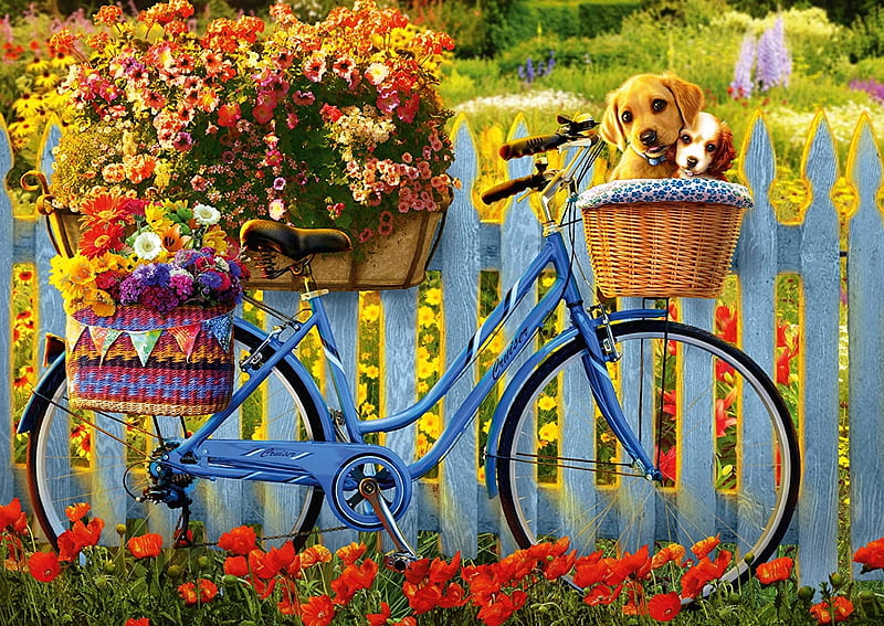 Sunday excursion with good friends, fence, flowers, bicycle, pups, basket, HD wallpaper