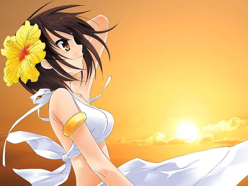 Godess Haruhi, sun, girl, flower, shine, light, HD wallpaper