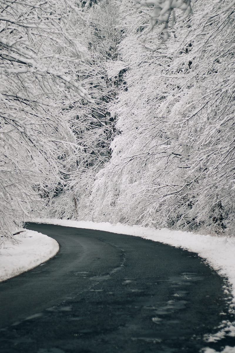 road, turn, snow, trees, winter, HD phone wallpaper
