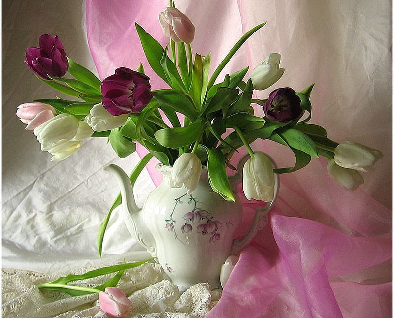 elegant devine, teapot, flowers, colors, silk, tablecloth, HD wallpaper
