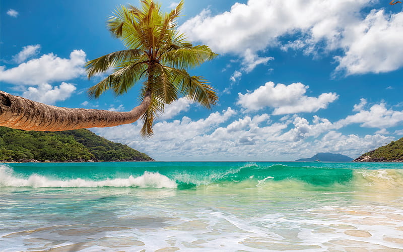 ocean, beach, wave, tropical islands, palms, summer, travel concepts, sand, HD wallpaper