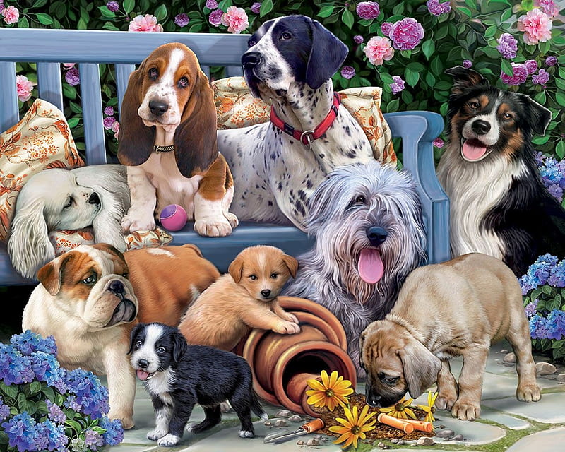 Dogs, puppy, dog, cute, garden, caine, animal, HD wallpaper