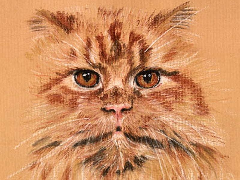 Ginger Cat F, art, orange tabby, tabby, cat, artwork, animal, pet, feline, painting, HD wallpaper