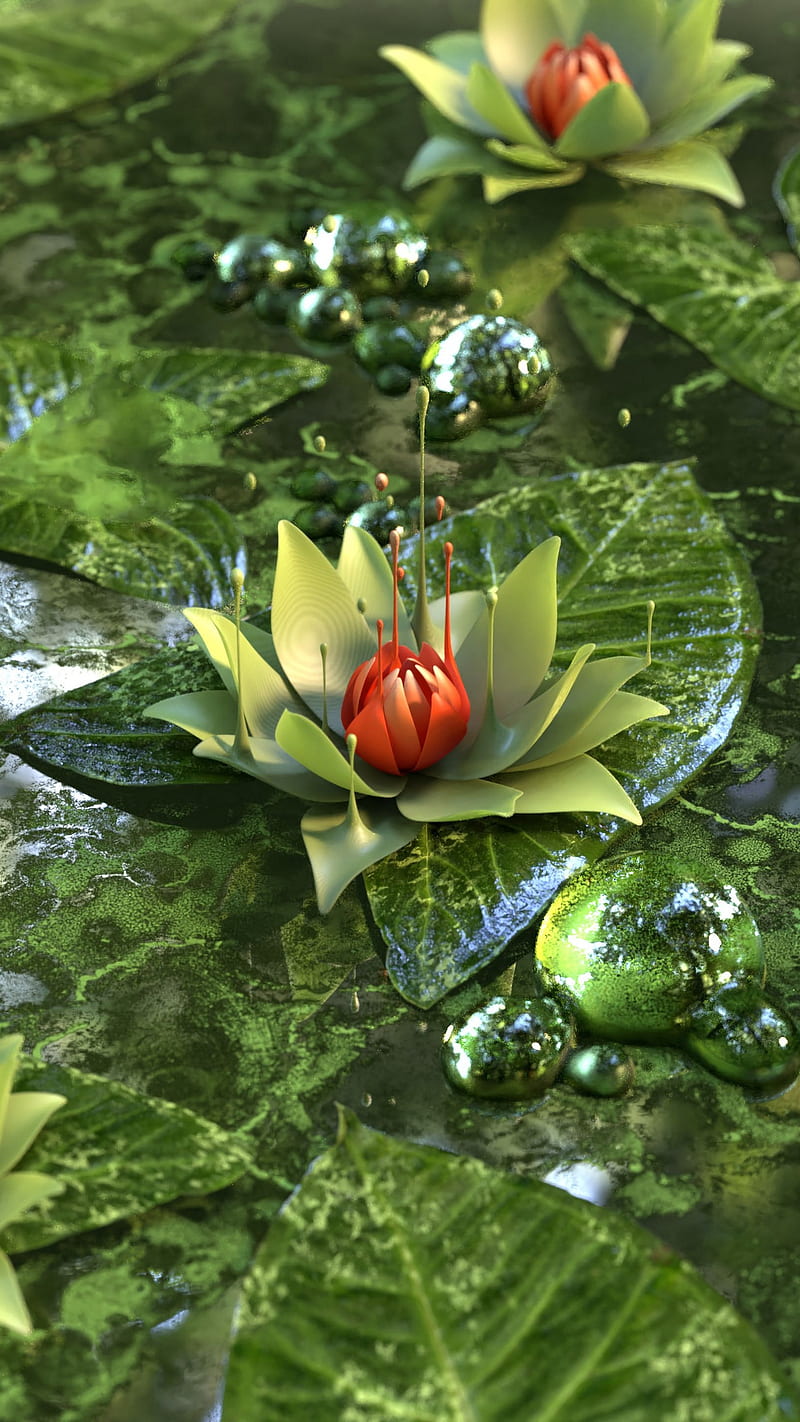 Water Lily , green, flower, lotus, water lily, HD phone wallpaper