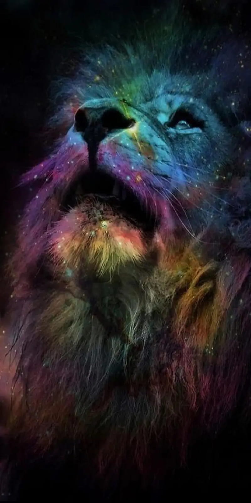 Lions, leo, HD phone wallpaper | Peakpx