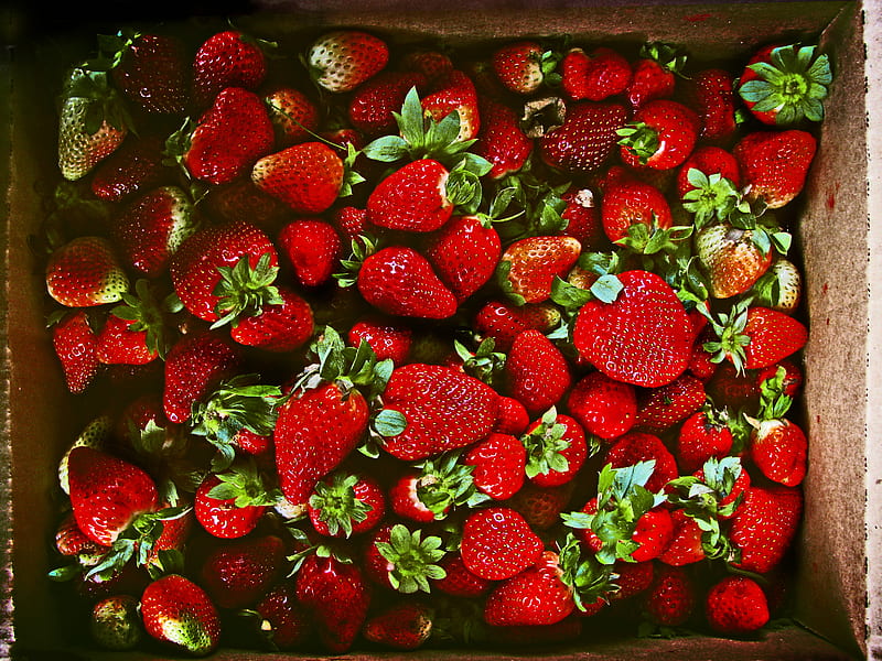 red strawberries in brown box, HD wallpaper
