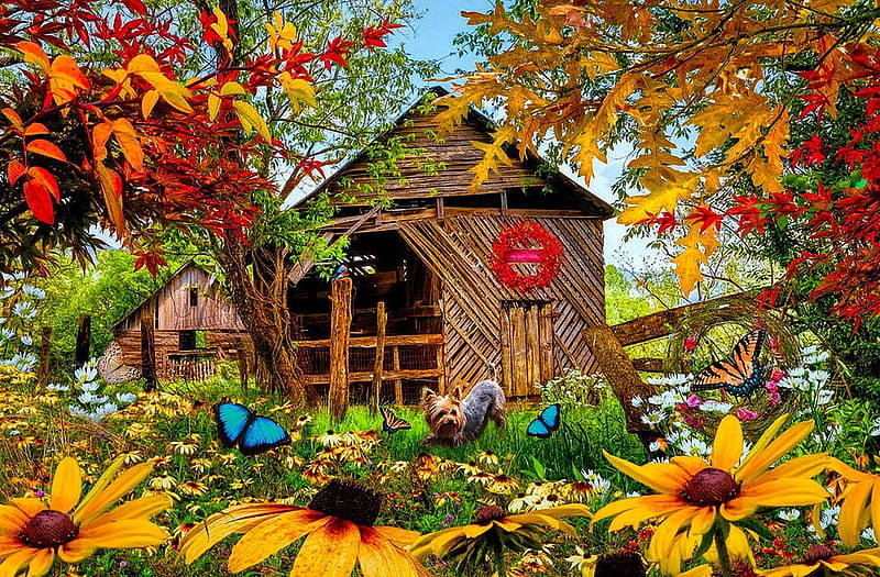Butterflies And Country Colors, fence, sheds, autumn, fklowers, digital, garden, trees, artwork, HD wallpaper