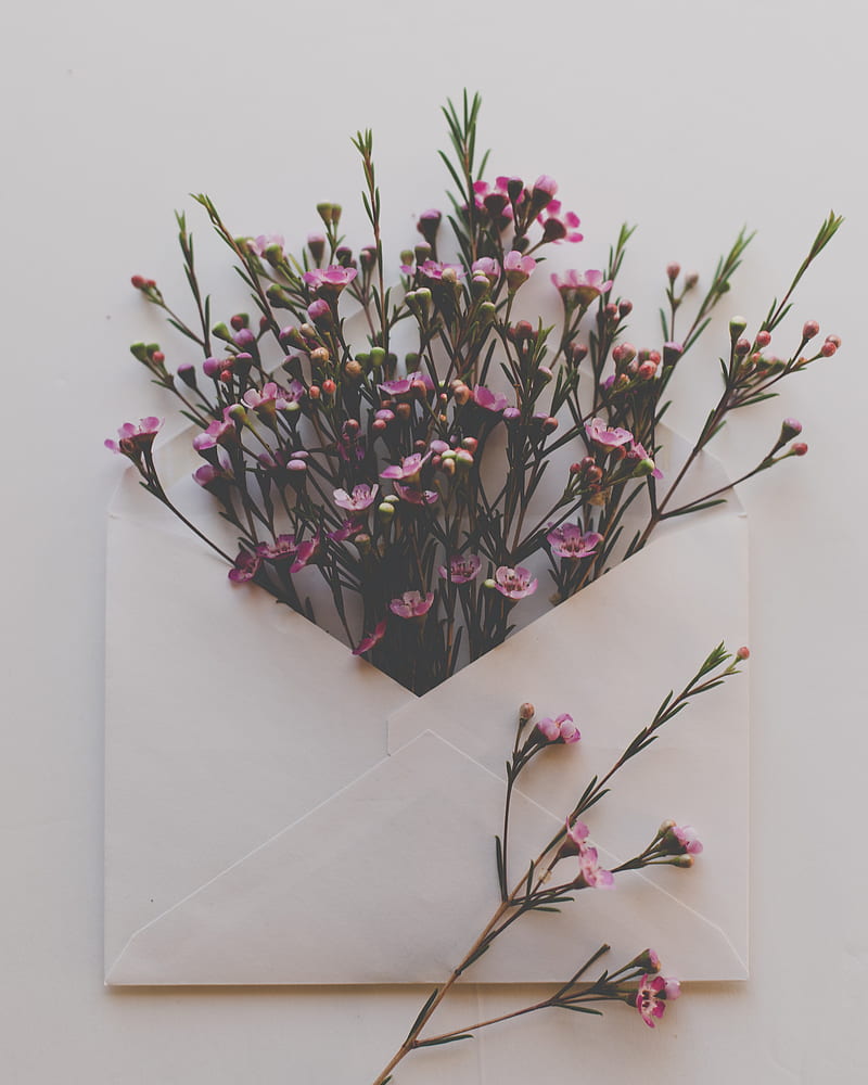 envelope, flowers, bouquet, HD phone wallpaper