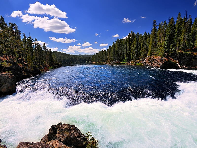 Yellowstone River, yellowstone, national park, waterfall, pine trees,  river, HD wallpaper | Peakpx