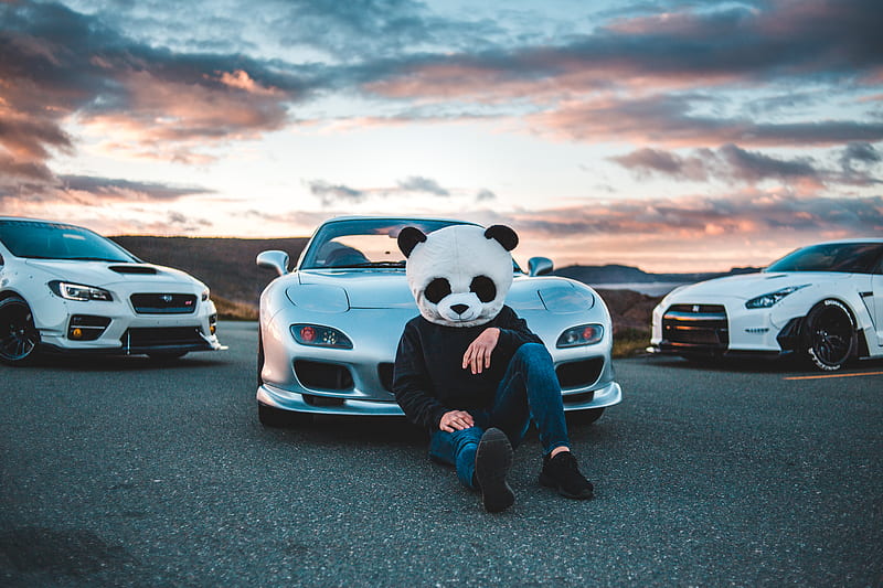 person wearing panda bear mask sitting beside silver vehicle, HD wallpaper