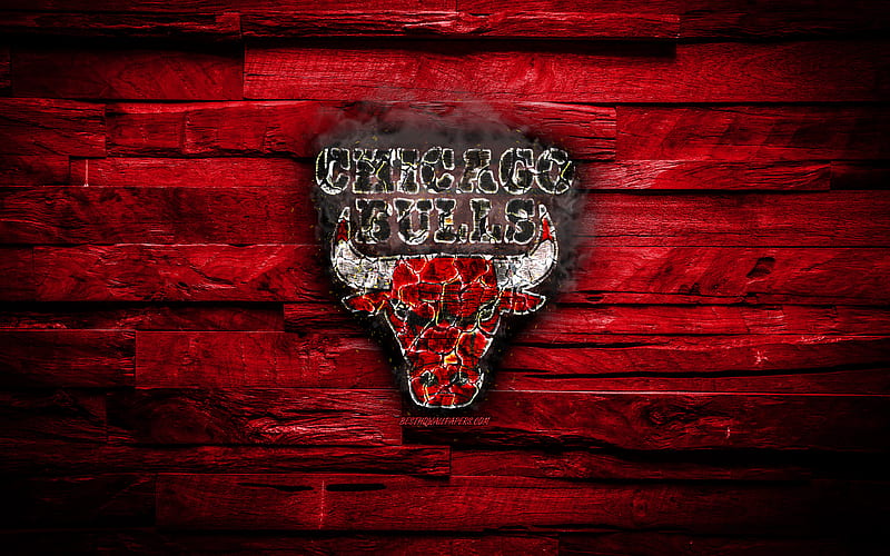 Chicago Bulls scorched logo, NBA, red wooden background, american basketball team, Eastern Conference, grunge, basketball, Chicago Bulls logo, fire texture, USA, HD wallpaper