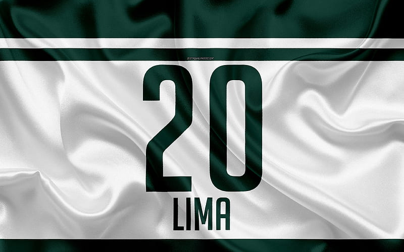 Lucas Lima, T-shirt, Palmeiras, 20th number, Serie A, Sao Paulo, Brazil, football, Sociedade Esportiva Palmeiras, HD wallpaper