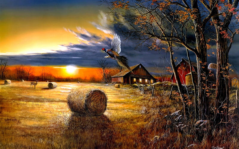 AUTUMN HARVEST, fall, painting, jim hansel, crop, poultry, sunrise, field, HD wallpaper