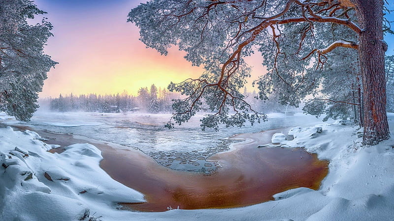 Winter sunset, river, trees, snow, frosty, ice, landscape, HD wallpaper