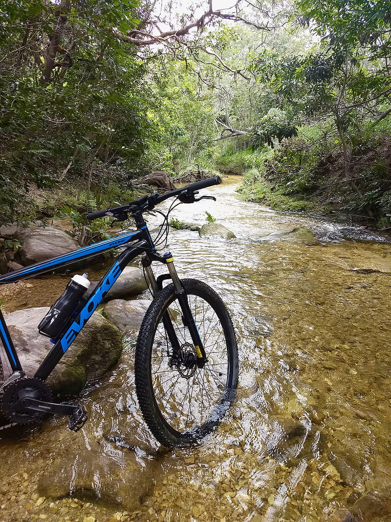 blue and black mountain bike on river, HD phone wallpaper