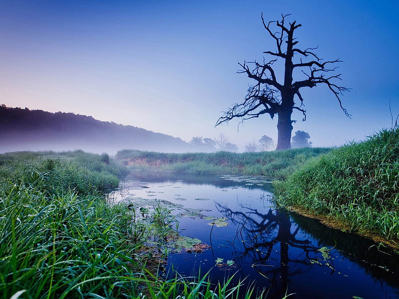 misty morning-rivers Landscape, HD wallpaper