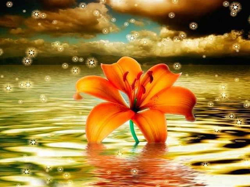 Orange flower, orange, mountains, glitter, flower, clouds, sea, light, HD wallpaper Orange flower, orange, mountains, glitter, flower, clouds, sea, light, HD wallpaper