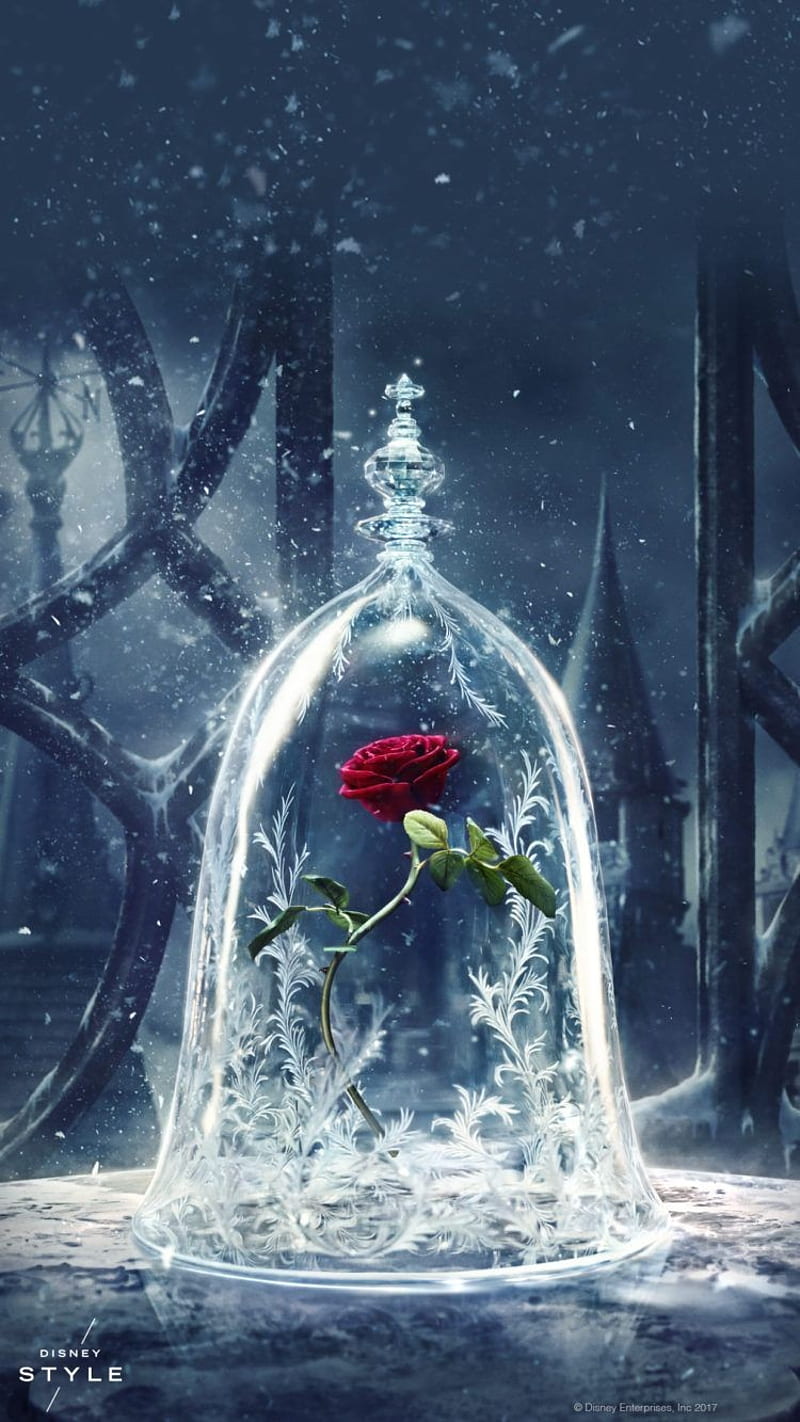 Beauty and the beast, 2017, candle, rose, theme, movie, lights, light, galaxy, HD phone wallpaper