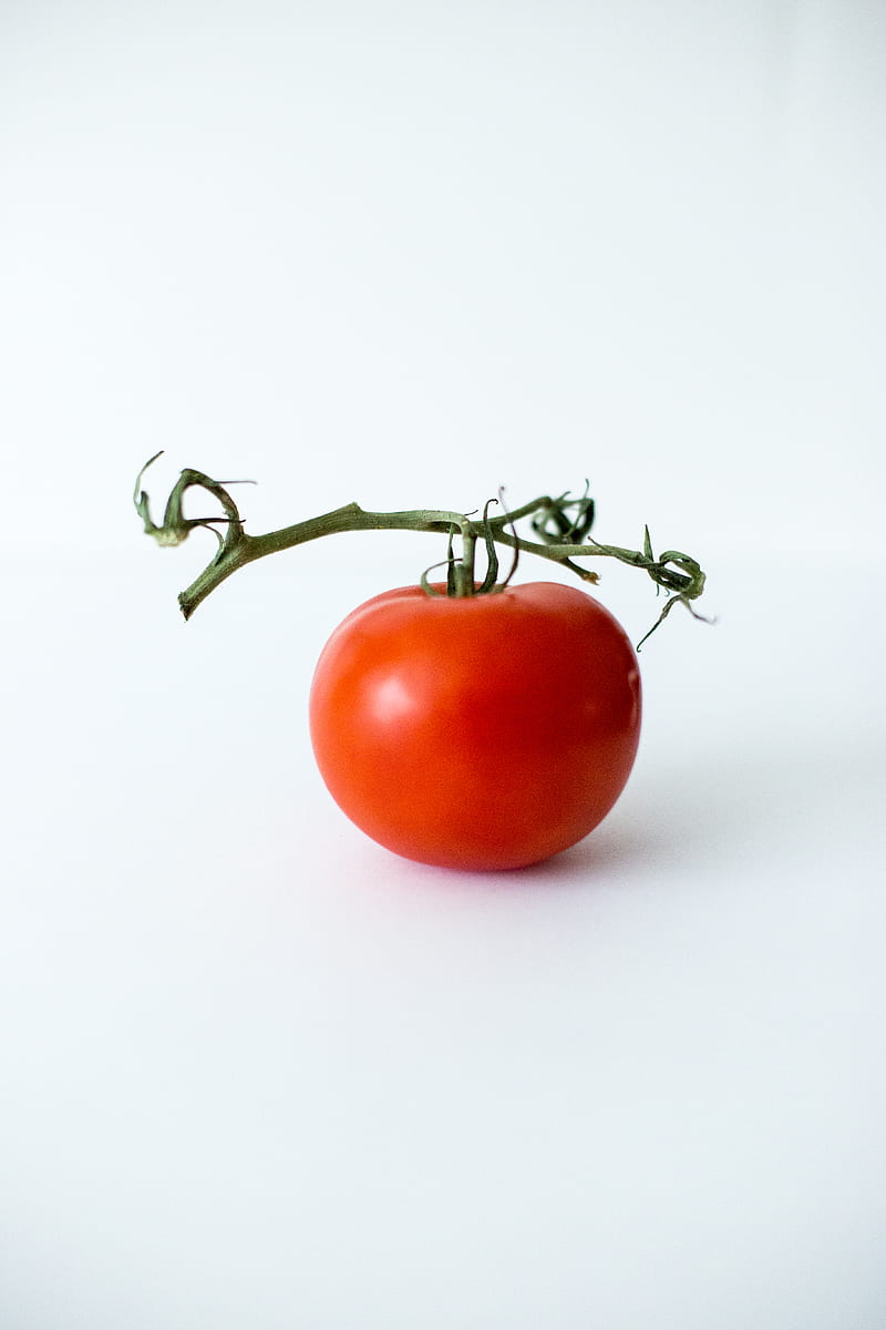 red tomato, HD phone wallpaper