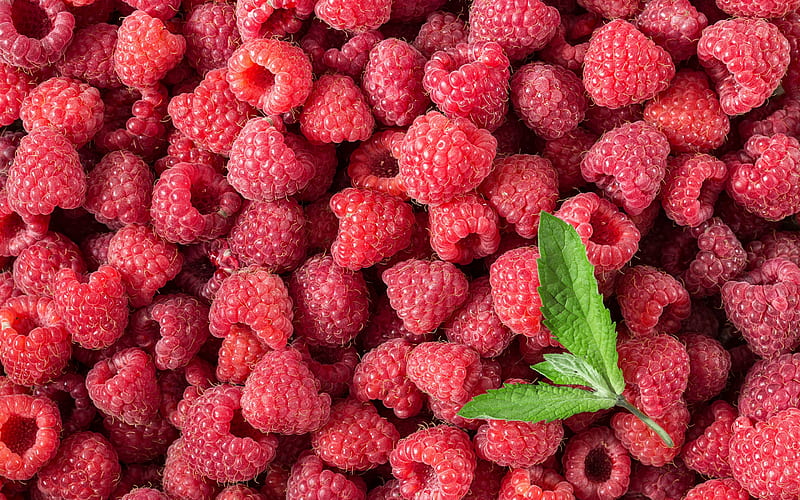 raspberries, berries, background with raspberries, berries background, ripe raspberries, HD wallpaper