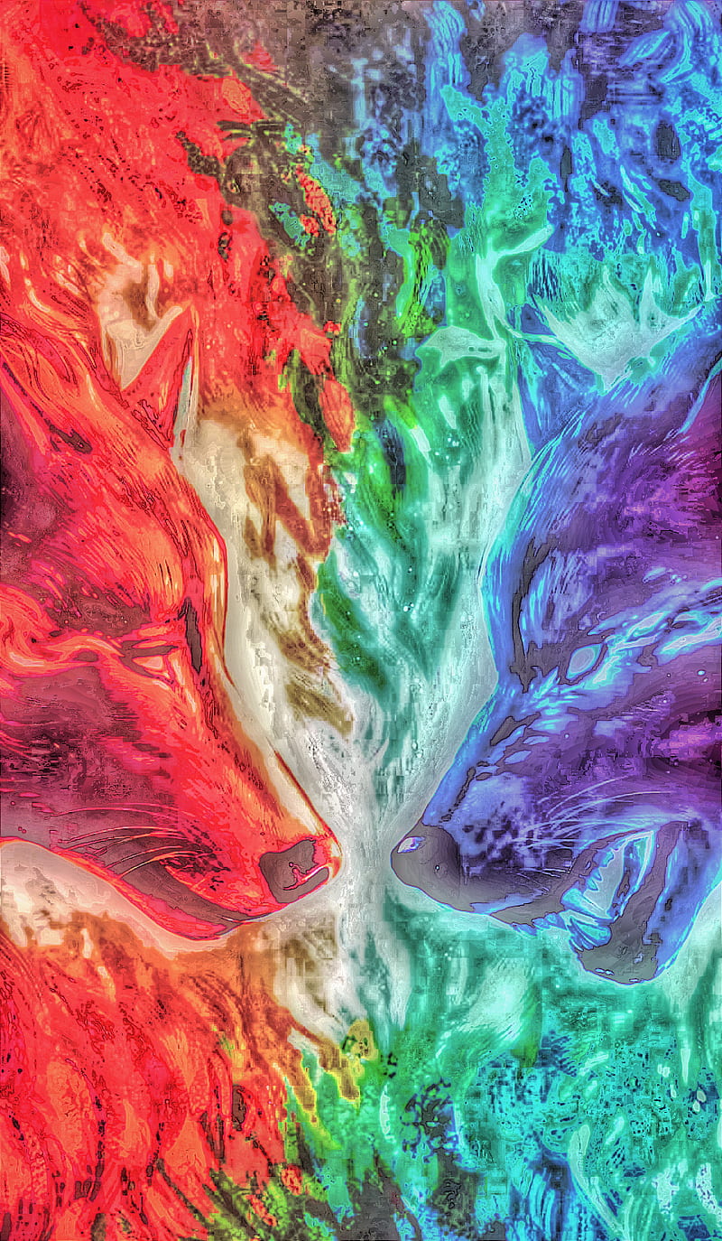 Fire wolves, color, colours, HD phone wallpaper