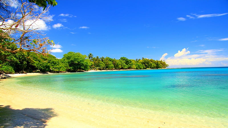Visale Beach, Solomon Islands, Guadalcanal, white sand, beach, paradise, bonito, tropical, palm trees, emerald water, HD wallpaper