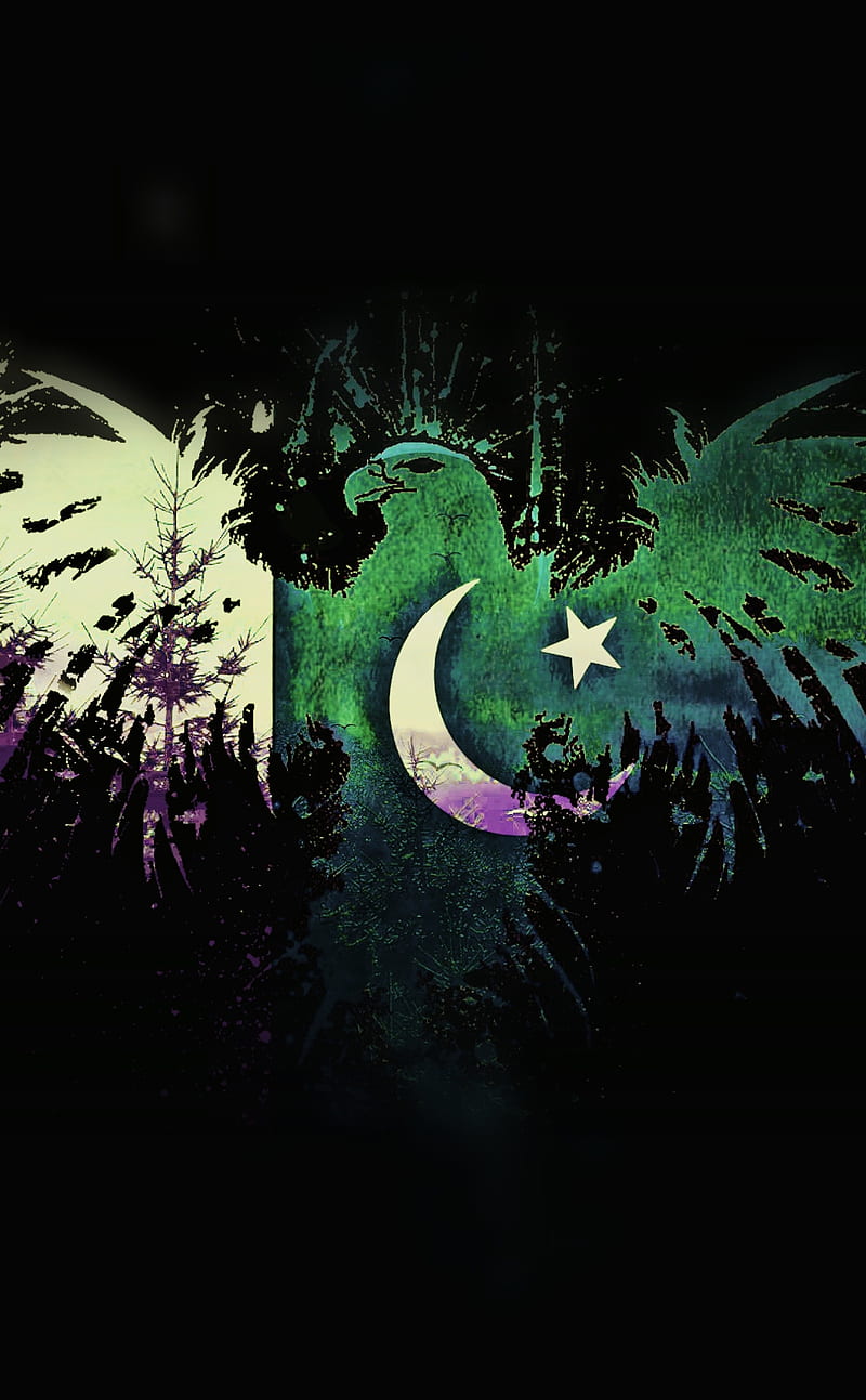 PAKISTAN Zindabad, 14th, august, azadi, hulk, iphone, samsung, theme,  world, HD phone wallpaper | Peakpx
