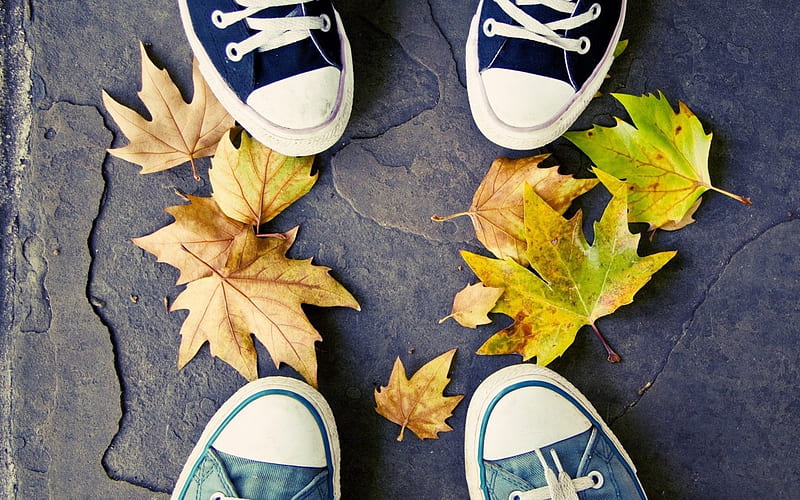 *** That's where we're going today? ***, leaves, two pairs, sneakers, shoes, HD wallpaper