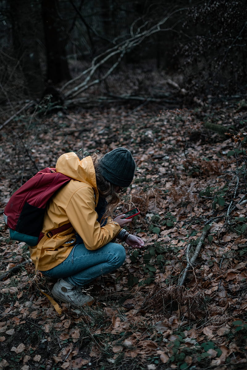 man in yellow jacket and blue denim jeans sitting on ground with dried leaves, HD phone wallpaper