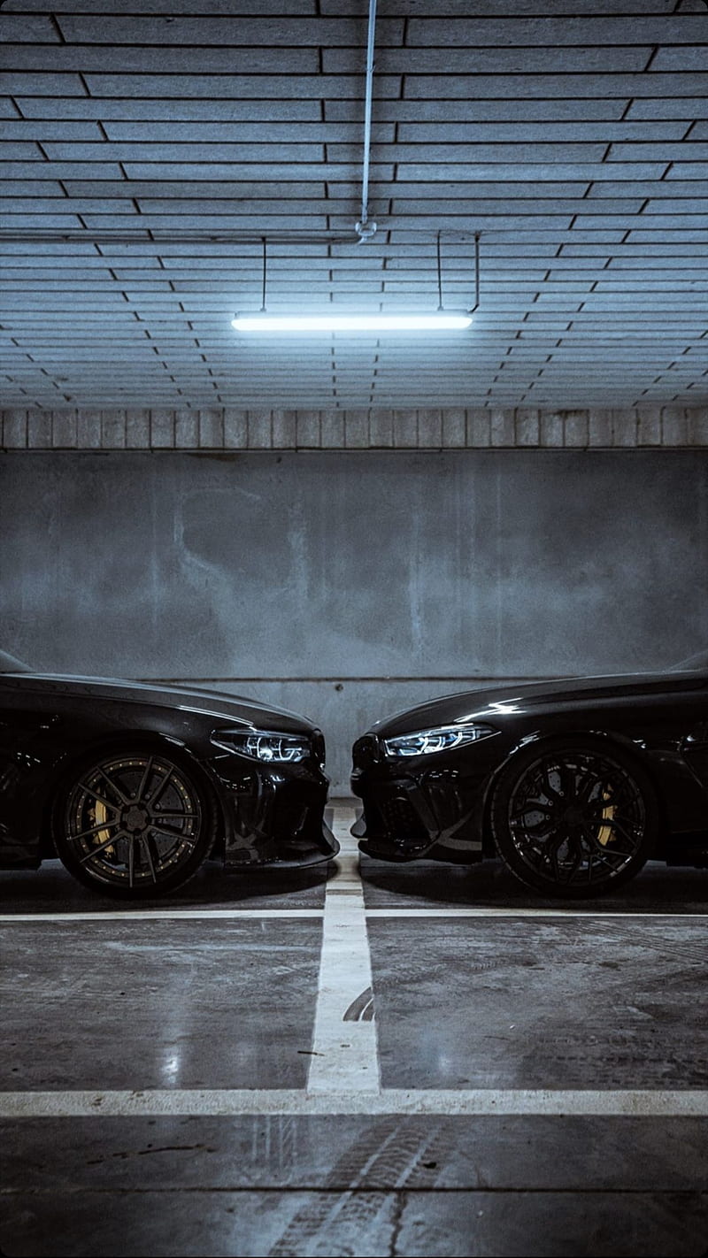 M5 and M8Competition, bmw, car, carros, zed performance wheels, zedsly, HD phone wallpaper