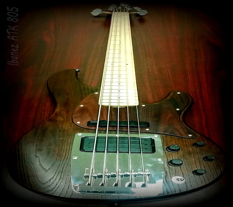 Ibanez ATK 805, 5 string bass, bass, HD wallpaper