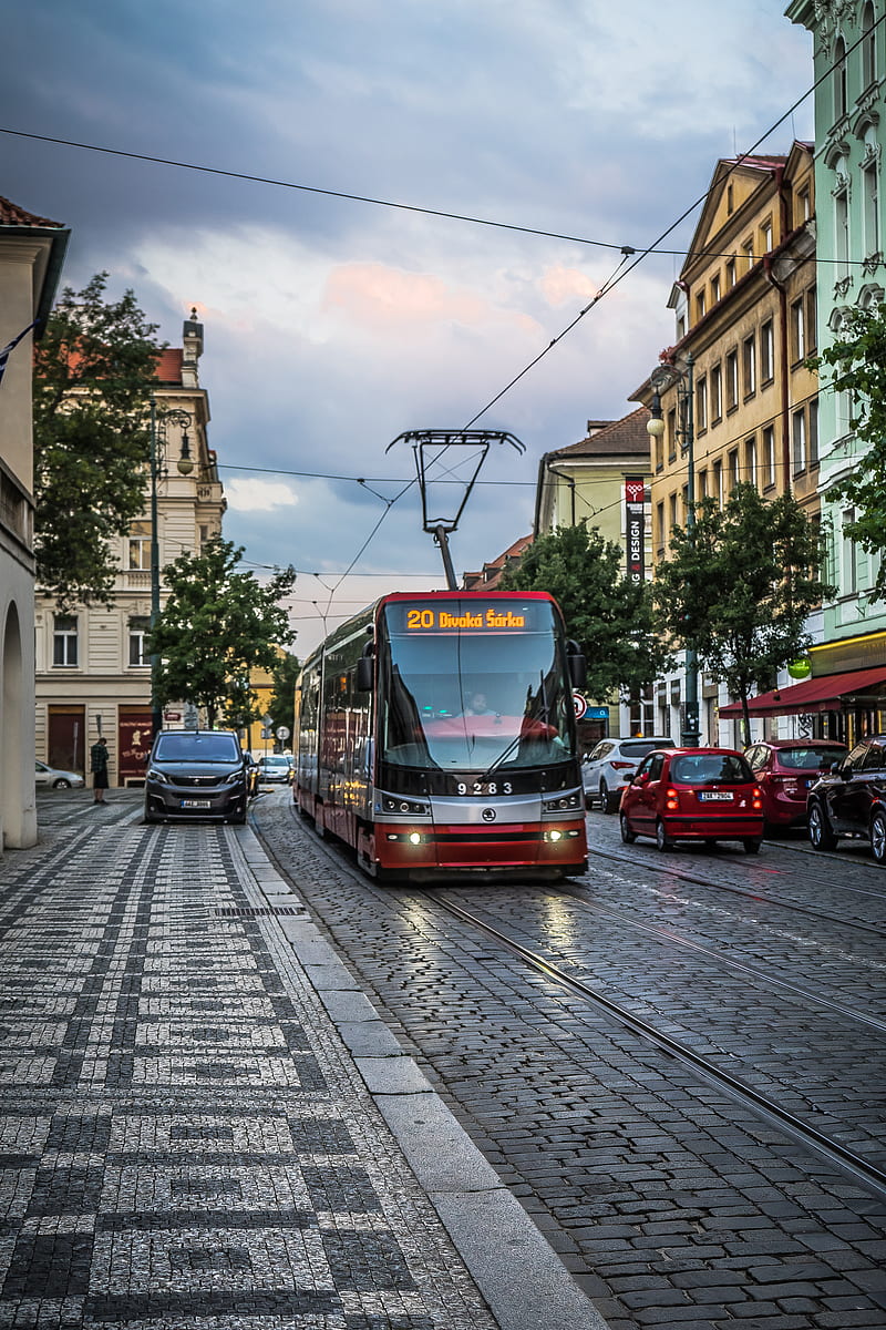 Prague tram, czech, czech republic, czechia, public tranport, tramvaj, tran, transport, HD phone wallpaper