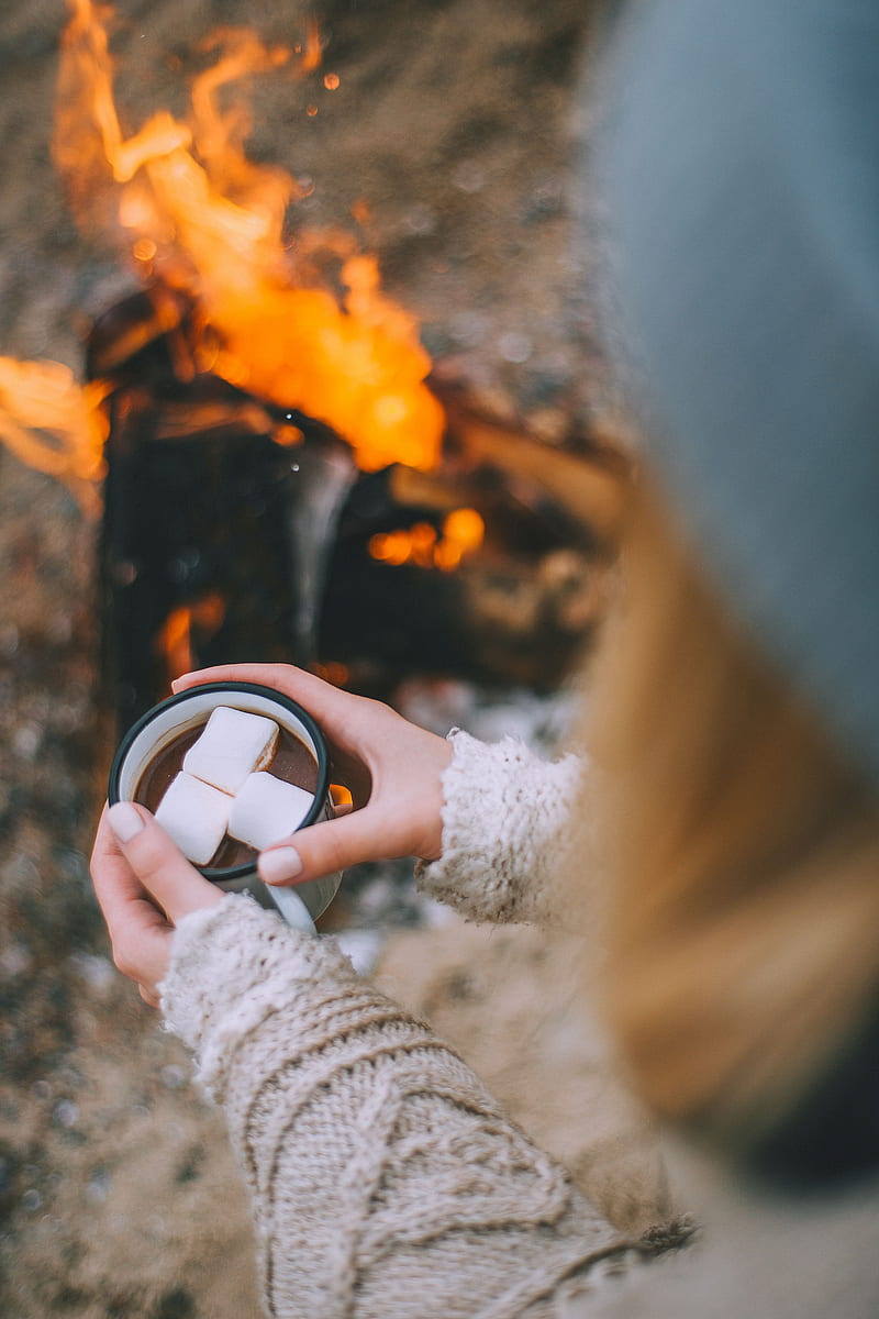 cocoa, marshmallows, hands, camping, travel, bonfire, HD phone wallpaper