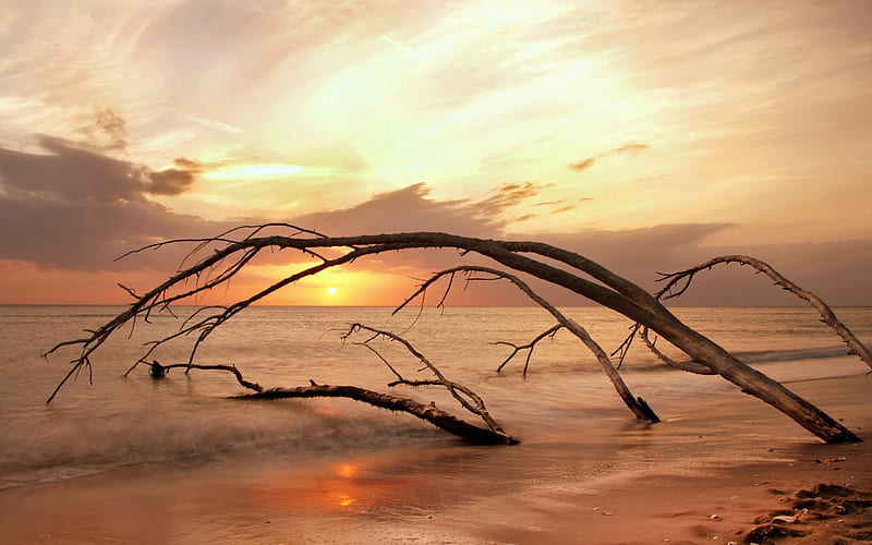 Sunset, sun, ocean, waves, sky, clouds, sea, beach, sand, nature, reflection, wood, HD wallpaper