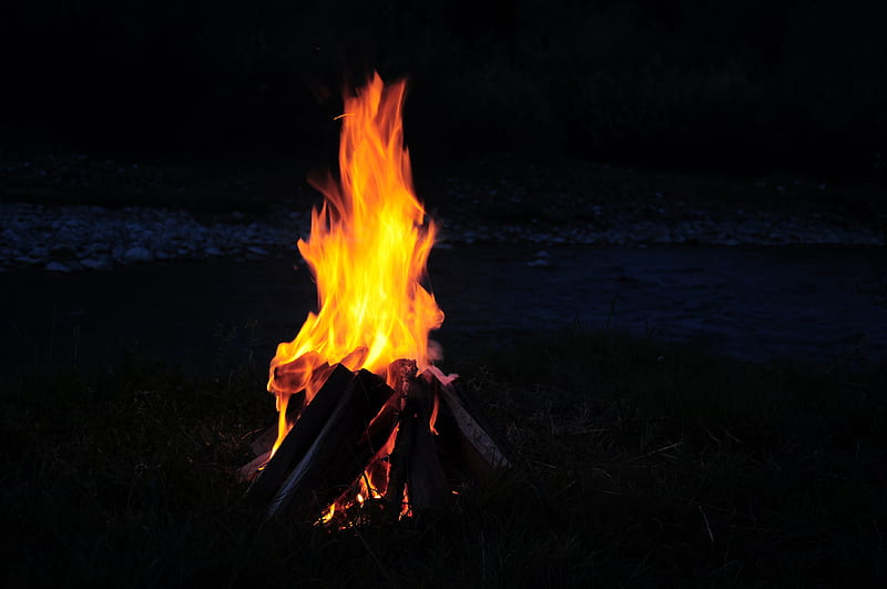 bonfire, fire, firewood, camping, night, HD wallpaper