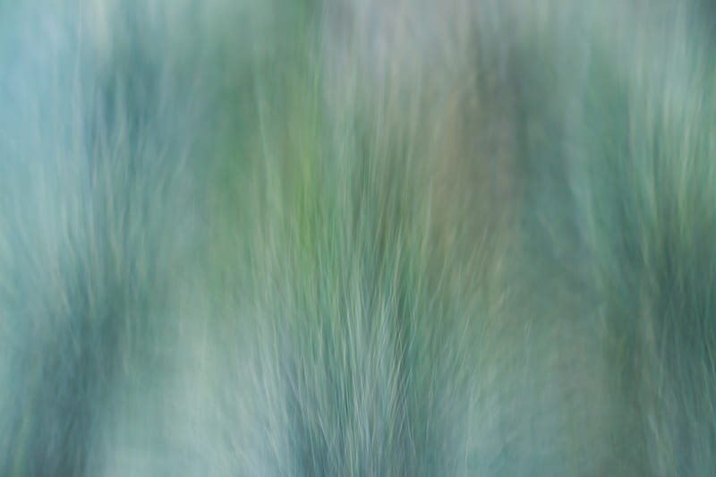 grass, wind, distortion, abstraction, HD wallpaper